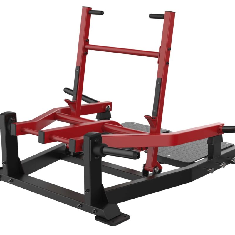 Belt Squat