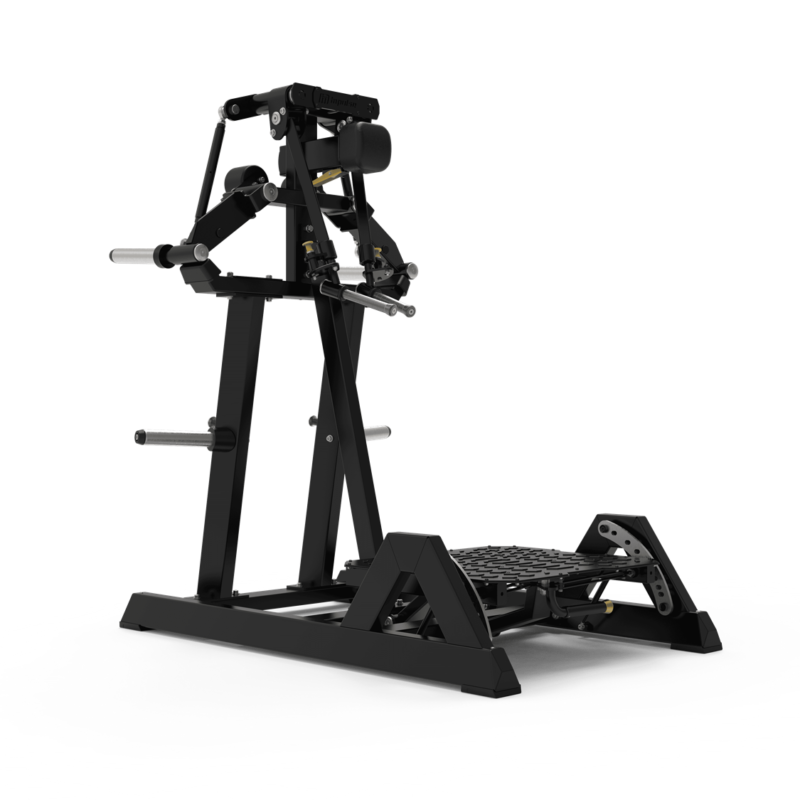 Standing Lateral Raise