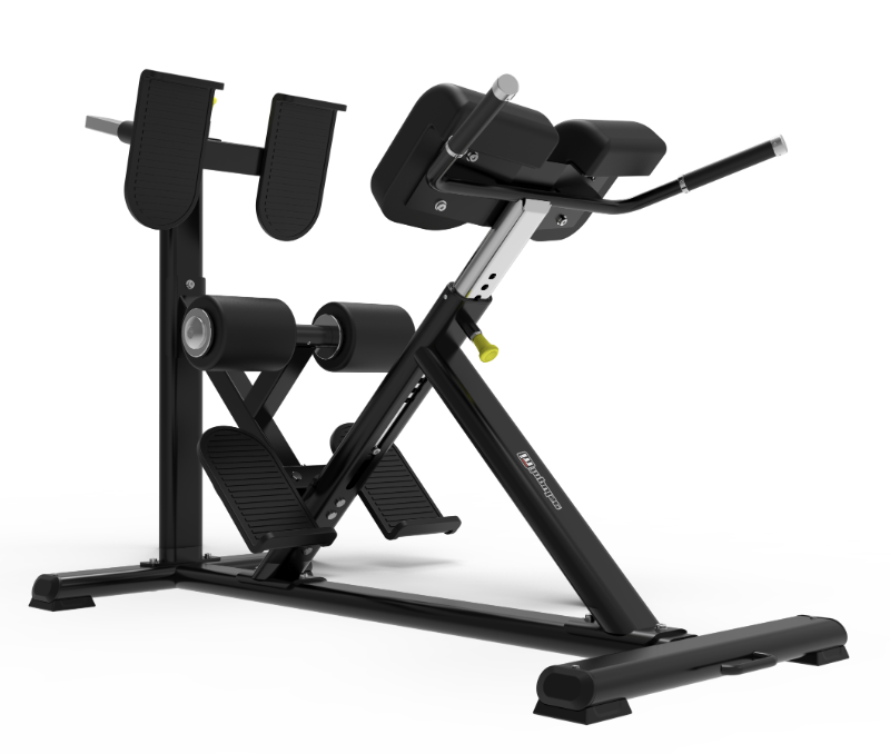 Back Extension Bench