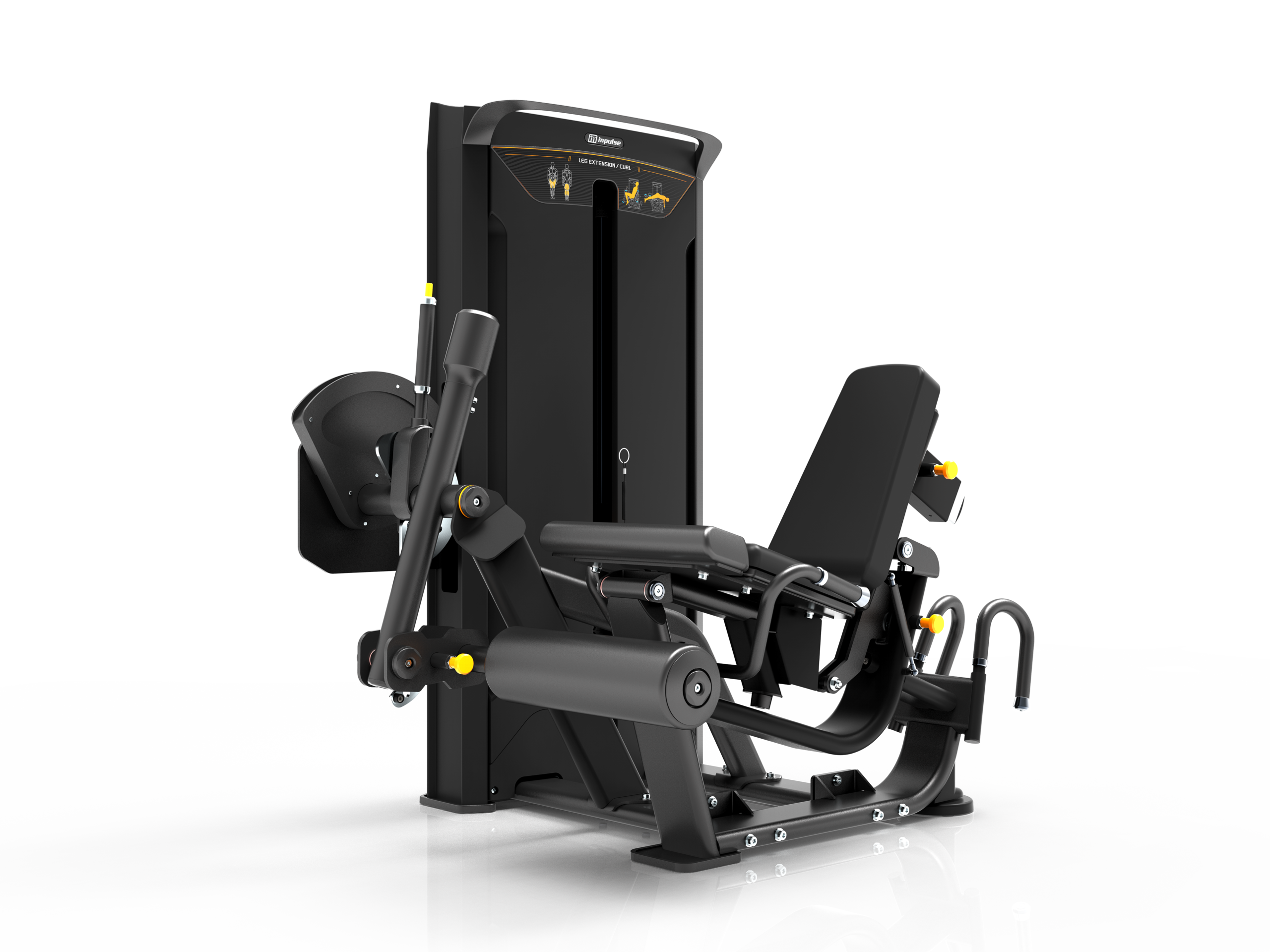 Seated Leg Extention